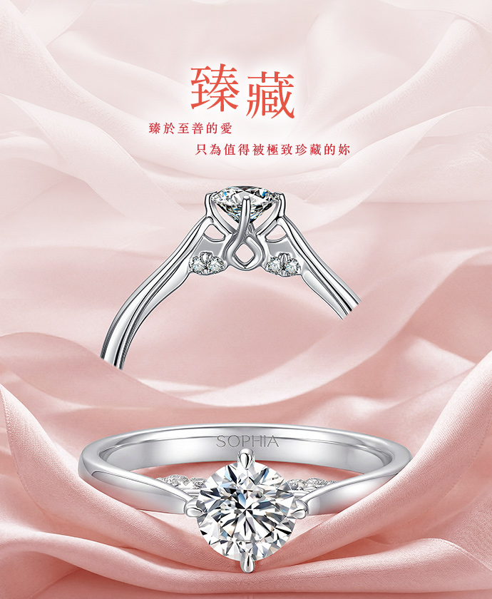 臻藏形象圖